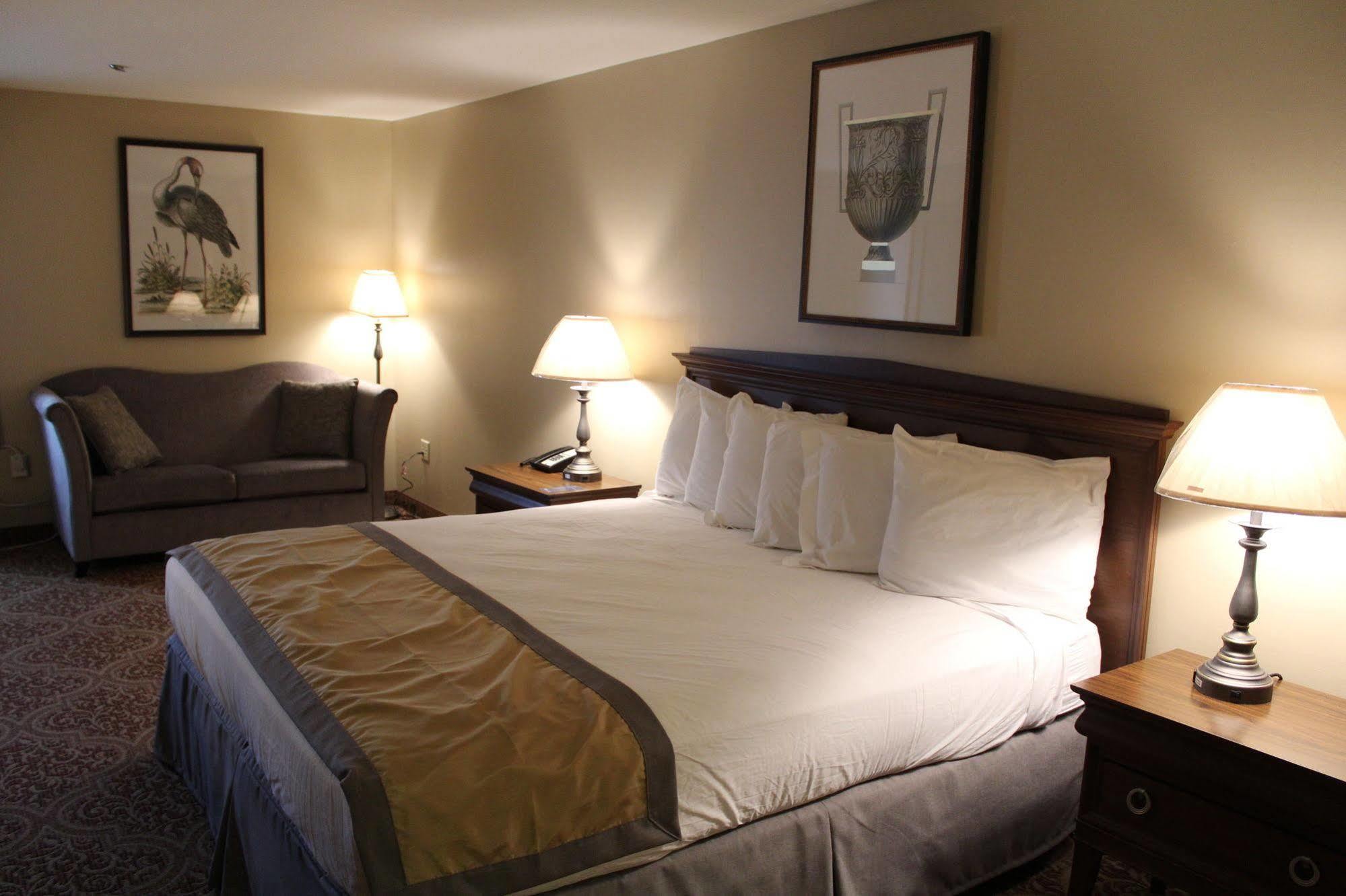 Greenville Inn & Suites エクステリア 写真
